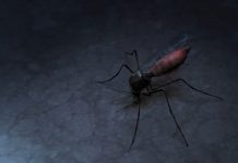Emiten una alerta sanitaria tras confirmarse dos casos de malaria en Florida Las autoridades sanitarias de los condados de Sarasota y Manatee, en la costa oeste de Florida, emitieron una alerta sanitaria tras confirmarse dos casos locales de malaria, una enfermedad común en África y en la India, pero no en el país.