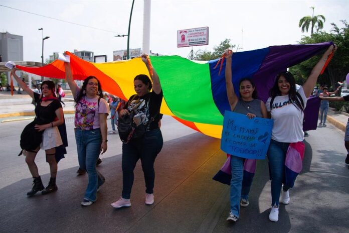 Miembros y simpatizantes de la comunidad LGBT participan en la marcha del orgullo (3)