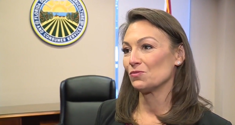 Nikki Fried El Partido Demócrata de Florida, en la oposición, se quejó formalmente este miércoles ante la Comisión de Ética y la Comisión de Elecciones contra la oficina del gobernador Ron DeSantis y tres de sus directores por presuntamente realizar actividades de campaña para el mandatario estatal desde sus puestos.