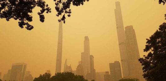 La metrópolis de Nueva York, conocida por su icónica línea del horizonte y su vibrante vida urbana, ha enfrentado recientemente un desafío ambiental sin precedentes.