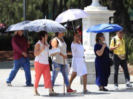 En solo una semana, México registra la muerte de 20 personas por calor extremo en Sonora Personas se protegen del sol con sombrillas