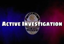 Investigan un accidente en Florida que dejó 5 jóvenes muertos al caer su auto a un lago Policía de Fort Myers