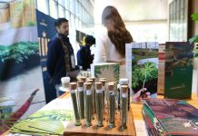 Vista de productos elaborados con marihuana, en el marco del segundo Congreso de Negocios e Inversión de CannabiSalud