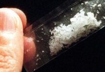 Las incautaciones de fentanilo, un opioide sintético que se trafica en México y que ha causado cientos de miles de muertes en Estados Unidos, aumentaron un 300 % en la frontera entre ambos países en los últimos cuatro años, según datos del Instituto para la Economía y la Paz (IEP).