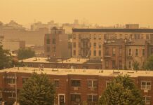 humo en nueva york