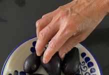 México identifica aguacates criollos con potencial de exportación y mejores que el Hass México identificó diversas variedades de aguacates criollos cuya pulpa puede ser congelada para exportación o para la producción de aceite, entre otros usos, además de que poseen cualidades superiores a las comerciales, como el aguacate Hass, informó este sábado la Secretaría (Ministerio) de Agricultura y Desarrollo Rural (Sader).