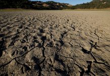La actual ola de calor en Estados Unidos afecta de forma desproporcionada a algunas comunidades latinas que viven en vecindarios con menos árboles, carecen de recursos para pagar cuentas de aire acondicionado o trabajan al aire libre en la construcción o el campo.