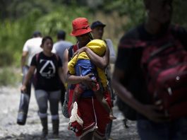 Un total de 248.901 migrantes irregulares han cruzado el Darién, la peligrosa selva que divide Panamá y Colombia, en lo que va de 2023, una cifra histórica que supera la cantidad récord de transeúntes que atravesaron esa frontera durante todo el año pasado, informó este lunes el Gobierno panameño.