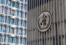 La Organización Mundial de la Salud (OMS) dijo hoy que cada vez se están detectando más brotes de gripe aviar que afectan a mamíferos y que esto despierta fuertes preocupaciones acerca de la posibilidad de que el virus se adapte para infectar más fácilmente a los humanos.