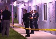 Al menos cinco personas resultaron heridas en un enfrentamiento a tiros dentro de un complejo de apartamentos en Fort Lauderdale, ciudad a unos 35 kilómetros de Miami, según informaron medios locales citando fuentes policiales.