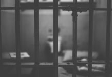 Chinches, piojos y violencia desenfrenada: así es la cárcel donde se entregará Trump LaShawn Thompson no pudo cumplir su condena. El año pasado, fue hallado sin vida, desnutrido, deshidratado e infestado de chinches dentro de una celda de la cárcel del condado de Fulton, en Atlanta, Georgia.