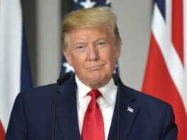 La fiscal propone que el juicio a Trump en Georgia arranque en marzo de 2024 La fiscal encargada del caso por el que el expresidente Donald Trump ha sido imputado en Georgia, Fani Willis, propuso este miércoles a la corte que el juicio arranque el 4 de marzo de 2024 y sugirió que la lectura de los cargos a los 19 acusados sea el 5 de septiembre.