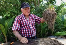 El ganadero Fernando Chico muestra sargazo utilizado es sus sembradíos en el rancho Nohoch Balam (2)