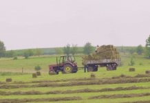 La economía del país generó 187.000 nuevos puestos de trabajo no agrícolas durante el pasado mes de julio, una cifra ligeramente superior a los 185.000 nuevos empleos creados en junio.