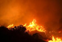 Suben a 80 los muertos por los incendios en Maui, que dejan pérdidas de miles de millones La cifra de personas muertas por los incendios que han asolado la isla hawaiana de Maui en los últimos días ascendió a 80, una tragedia que ha arrasado ciudades como Lahaina, cuya reconstrucción costará más de 5.520 millones de dólares.