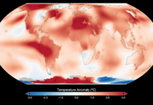 Científicos de la agencia espacial (NASA) confirmaron este lunes que julio fue el mes más caluroso desde que se tienen mediciones a nivel mundial y alertaron de que 2024 será un año todavía más cálido que este 2023.