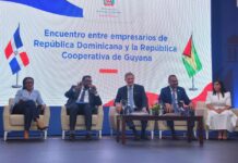 ProDominicana promueven oportunidades de inversión (4).