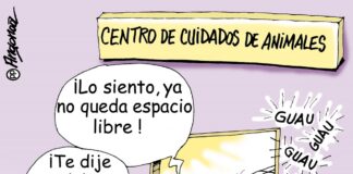 caricatura3