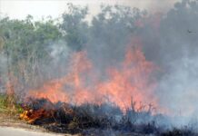 Las autoridades del condado de la isla hawaiana de Maui, han informado este lunes de que 850 personas siguen desaparecidas tras unos devastadores incendios que han dejado un balance de 115 víctimas mortales.