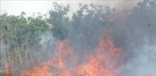 Gobernador informó en una rueda de prensa de que el número de fallecidos por los incendios en la isla hawaiana de Maui han ascendido a 110.