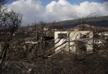 Ya son 96 los muertos en Maui y la prioridad es buscar a los cientos de desaparecidos incendio en Maui