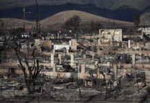 Al menos 99 muertos en los incendios en Maui, con el 25 % de la zona registrada incendios en Maui