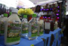 El viche, la bebida de la resistencia cultural afro en el Pacífico colombiano varias botellas de viche, una bebida ancestral del pacífico colombiano (2)
