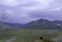 Refugio Nacional de Vida Silvestre del Ártico. Foto Wikipedia