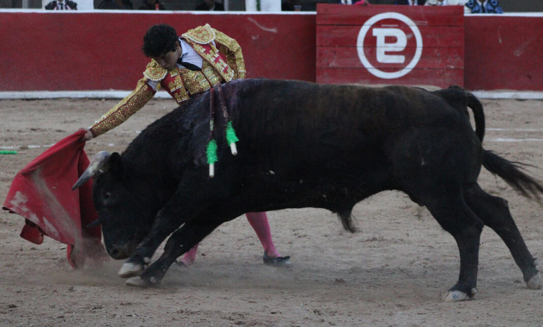 La Plaza de Toros Cinco Villas celebrará este domingo la Corrida de las Fiestas Patrias, en la localidad de Santiago Cuautlalpan, en el central Estado de México, a 38 kilómetros de la capital mexicana, con motivo de la Independencia del país.
