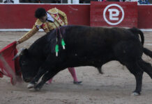 La Plaza de Toros Cinco Villas celebrará este domingo la Corrida de las Fiestas Patrias, en la localidad de Santiago Cuautlalpan, en el central Estado de México, a 38 kilómetros de la capital mexicana, con motivo de la Independencia del país.