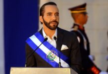 Bukele financiará su "guerra contra las pandillas" con fondos del Instituto de Formación Profesional El presidente de El Salvador, Nayib Bukele.