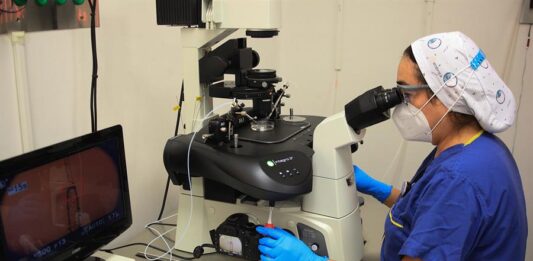 La embrióloga Laura García realiza una fecundación de laboratorio (2)