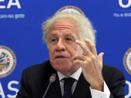 El secretario general de la Organización de los Estados Americanos (OEA), Luis Almagro, exigió este lunes al Ministerio Público (Fiscalía) de Guatemala que deje de perseguir judicialmente al Movimiento Semilla del presidente electo, Bernardo Arévalo de León.