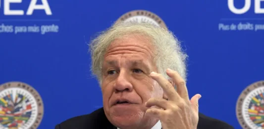 El secretario general de la Organización de los Estados Americanos (OEA), Luis Almagro, exigió este lunes al Ministerio Público (Fiscalía) de Guatemala que deje de perseguir judicialmente al Movimiento Semilla del presidente electo, Bernardo Arévalo de León.