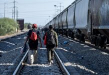 Migrantes