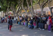 Migrantes