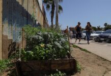 Personas caminan junto al Parque Binacional de la Amistad