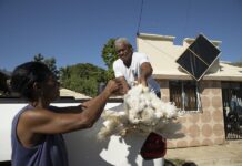 Un productor avícola local regala gallinas ante la imposibilidad de venderlas debido al cierre de la frontera domínico-haitiana.