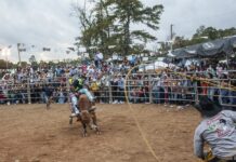 rodeo