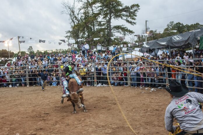 rodeo