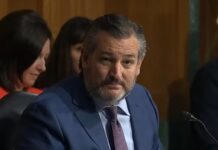 El senador republicano Ted Cruz pide a Biden que sancione a Cristina Fernández El senador republicano por Texas Ted Cruz reiteró este viernes al Gobierno de Joe Biden que deje de "hacer la vista gorda" y que sancione por corrupción a la expresidenta de Argentina Cristina Fernández de Kirchner.