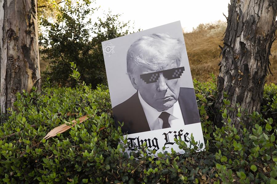 Trump (2) Trump