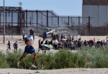 migrante