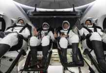 capsula Dragon (2)