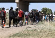 Urgen a la Universidad de Georgia condenar retórica antiinmigrante tras muerte de joven estado de emergencia en el sector de Eagle Pass por una nueva llegada masiva de migrantes (3)