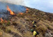 El número de muertos por los incendios forestales de Maui baja a 97 El número de muertos por los incendios forestales de Maui del mes pasado se ha reducido de al menos 115 a 97 personas.