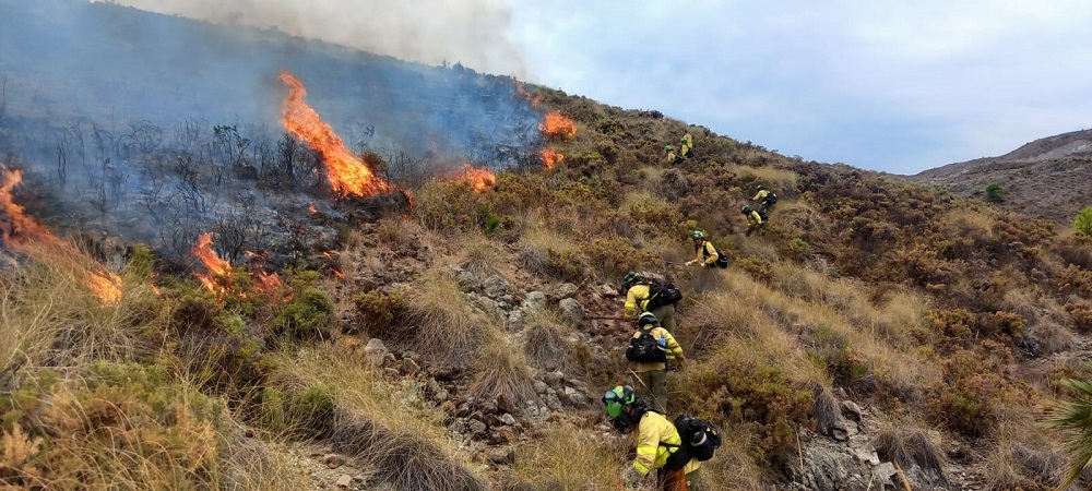 Málaga.-Incendios.- El Infoca despliega medios aéreos contra un incendio forestal en el paraje Montemayor de Benahavís El número de muertos por los incendios forestales de Maui del mes pasado se ha reducido de al menos 115 a 97 personas.
