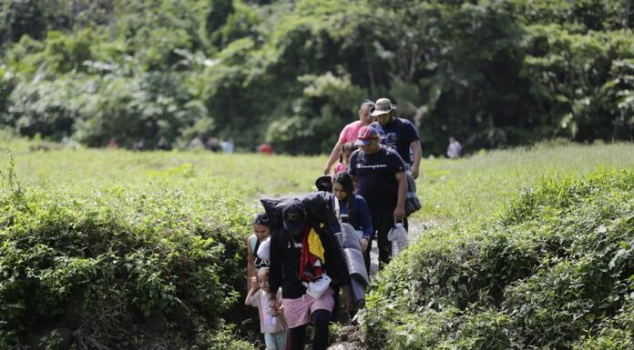 migrantes