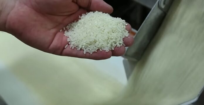 Arroz Producción de arroz.