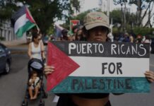 Cientos de puertorriqueños y la comunidad palestina en la isla se manifestaron a favor de una Palestina libre (2)